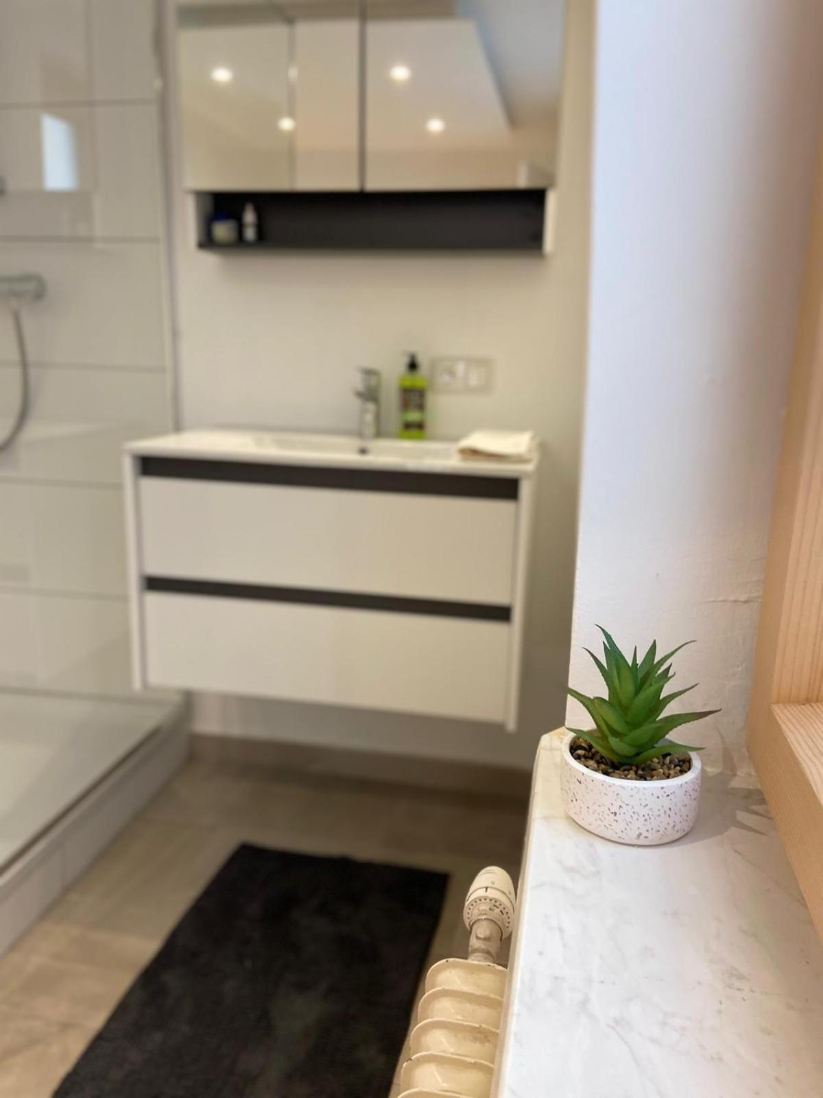 Zentrale Wohnung Gmunden Alte Baeckerei エクステリア 写真